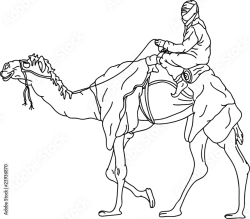 vector - bedouin riding a camel,isolated on background