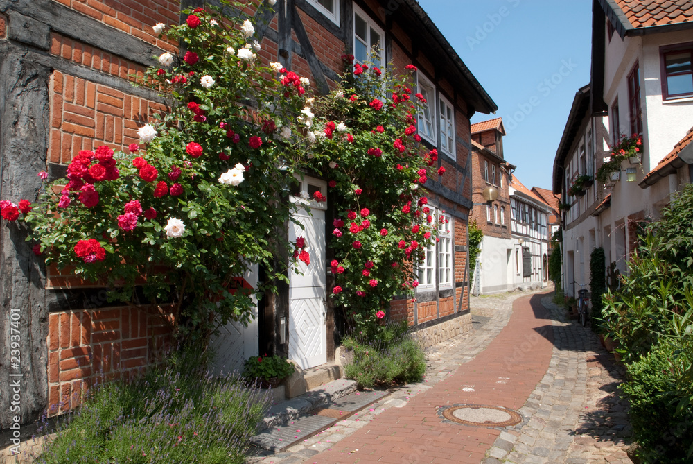 Fototapeta premium Old School Street w Nienburgu (Wezera)