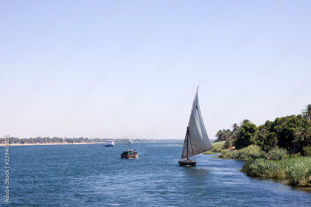Fototapeta premium nile life