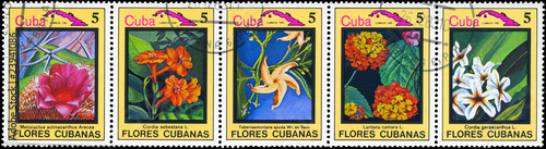 CUBA - CIRCA 1983 Cuban flowers