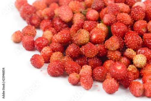 Wild strawberry