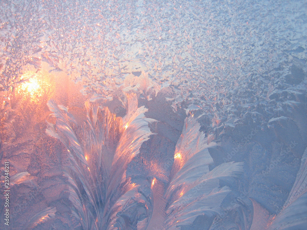 Fototapeta premium frost and sun
