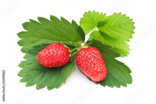 Fresh strawberry fruits with green leaves
