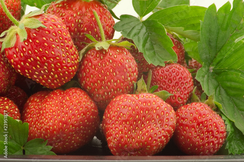 Fresh red strawberries