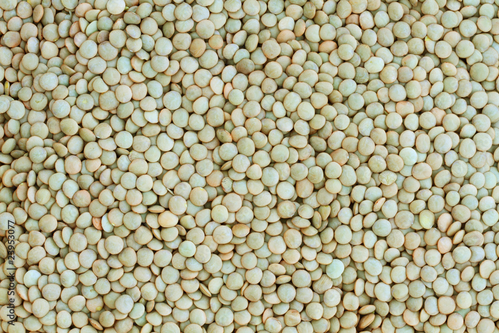 Raw Lentils Raw Lentils