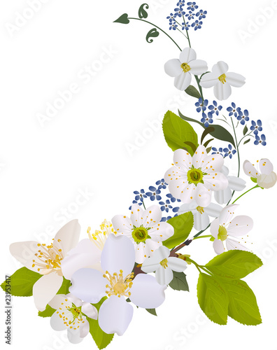 curl with jasmine and cherry flowers