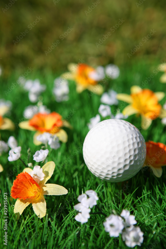 Naklejka premium golf ball