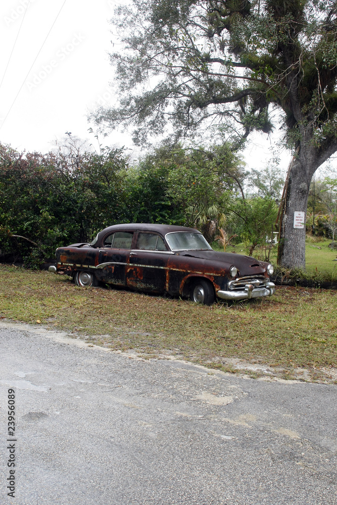 Alter verrotteter Chevrolet an der Loop Road bei Pinecrest Alter verrotteter Chevrolet an der Loop Road bei Pinecrest