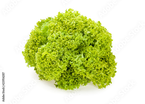 Raw Fresh Lettuce on white background