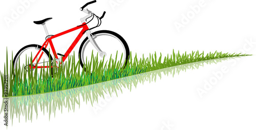 fahrrad wiese