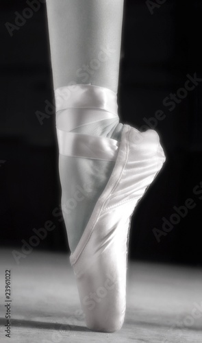 A Ballet Slipper