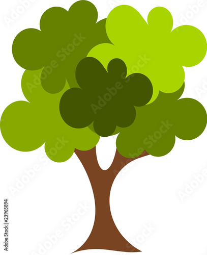 Oak tree