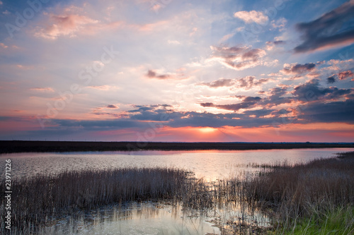 summer lake at sunset