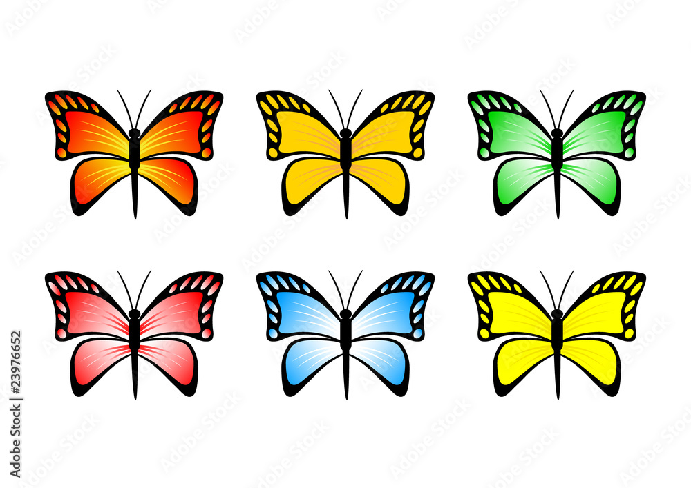 Butterfly collection Butterfly collection