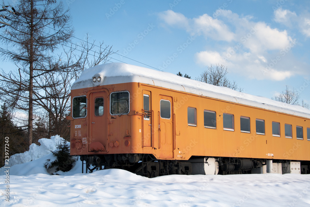Fototapeta premium Winter train