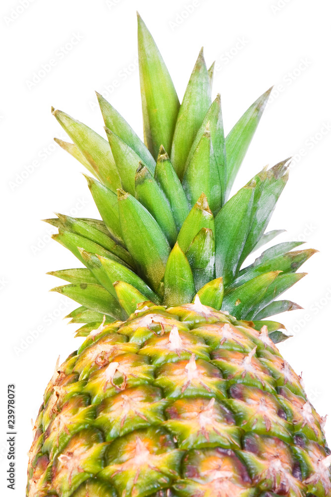 Fototapeta premium Pineapple isolated on white background.