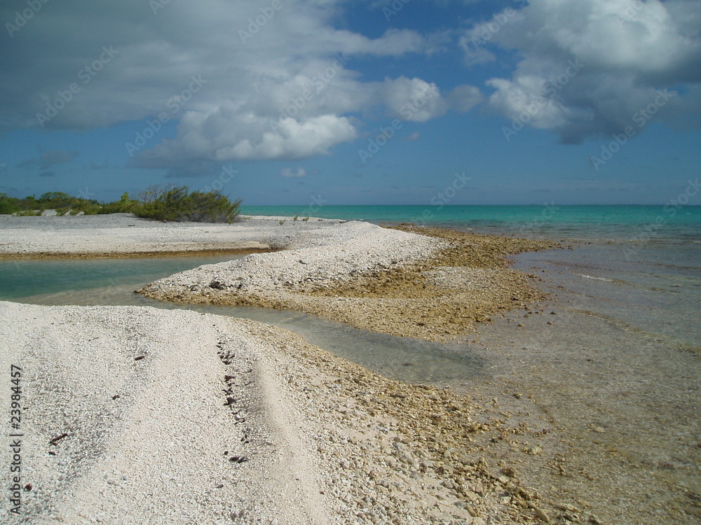 Obraz premium Plage de sable blanc et lagon à Rangiroa