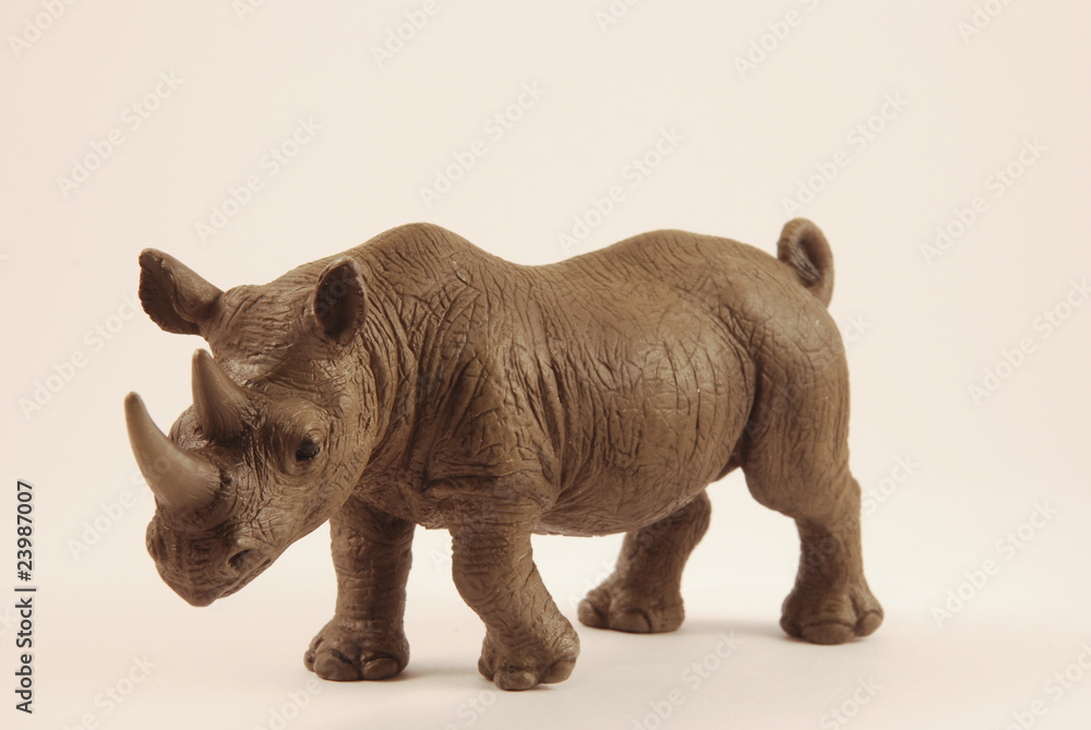 Obraz premium Rhinocéros