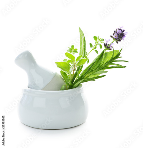 Healing herbs in mortar and pestle photo