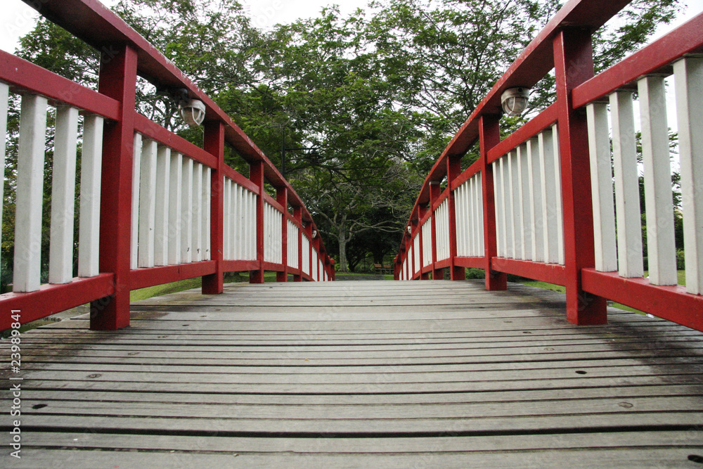 A angle shot of a Japan style bridge in a garden