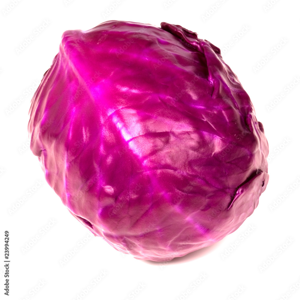 Red Cabbage Red Cabbage
