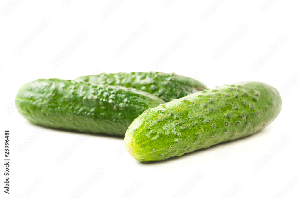 three fresh green cucumbers isolated on white with water drops three fresh green cucumbers isolated on white with water drops