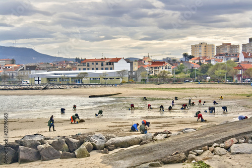 Fotografie Mariscadoras en Vilaxoán