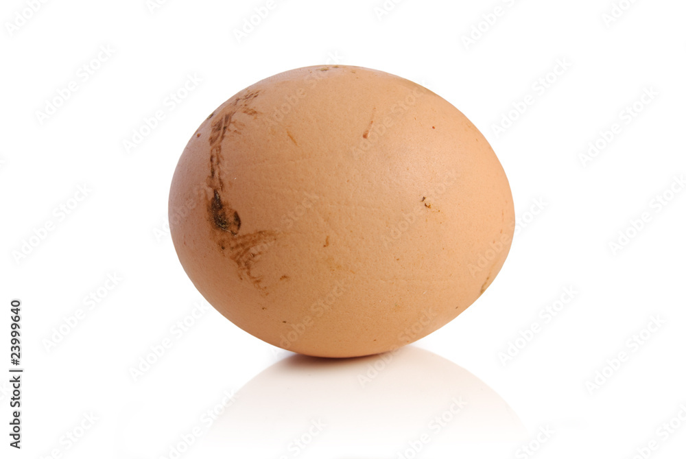 Oeuf bio Oeuf bio