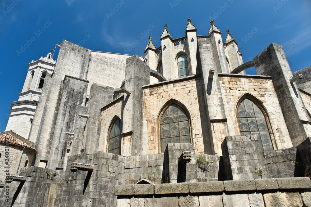 Fototapeta premium View of Girona cathedral. Catalonia. Spain.