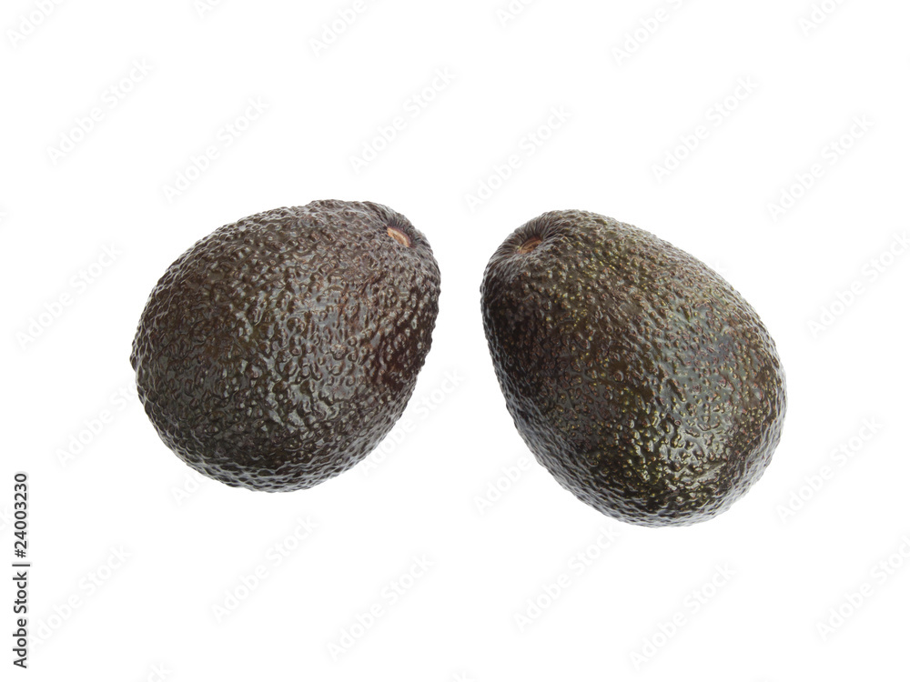 Avocado Avocado