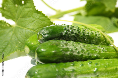 fresh cucumbers