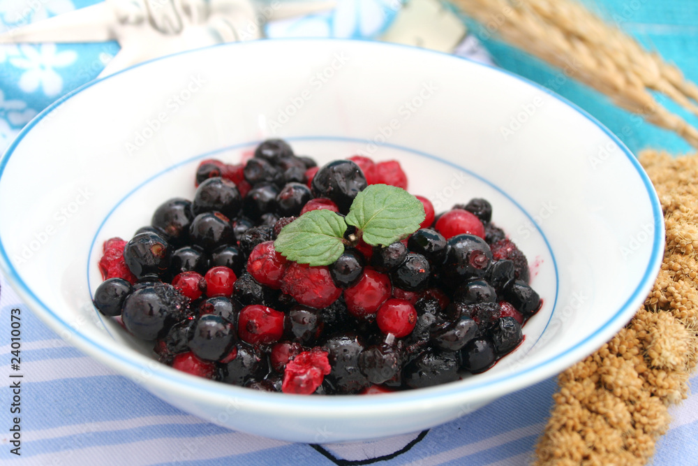 Waldbeeren Waldbeeren