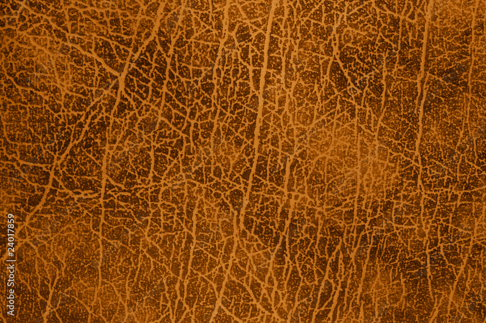 Obraz premium leather texture