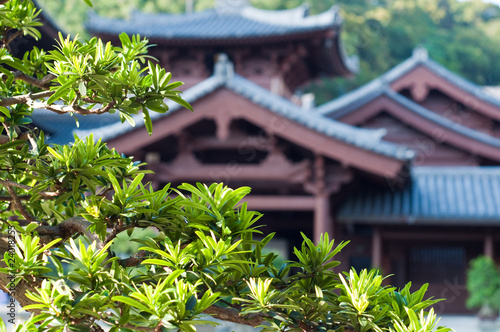 Chi Lin Nunnery  Hong Kong.