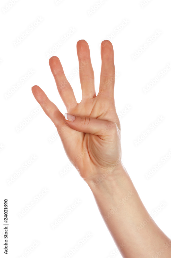 Various signs hands and palms Various signs hands and palms