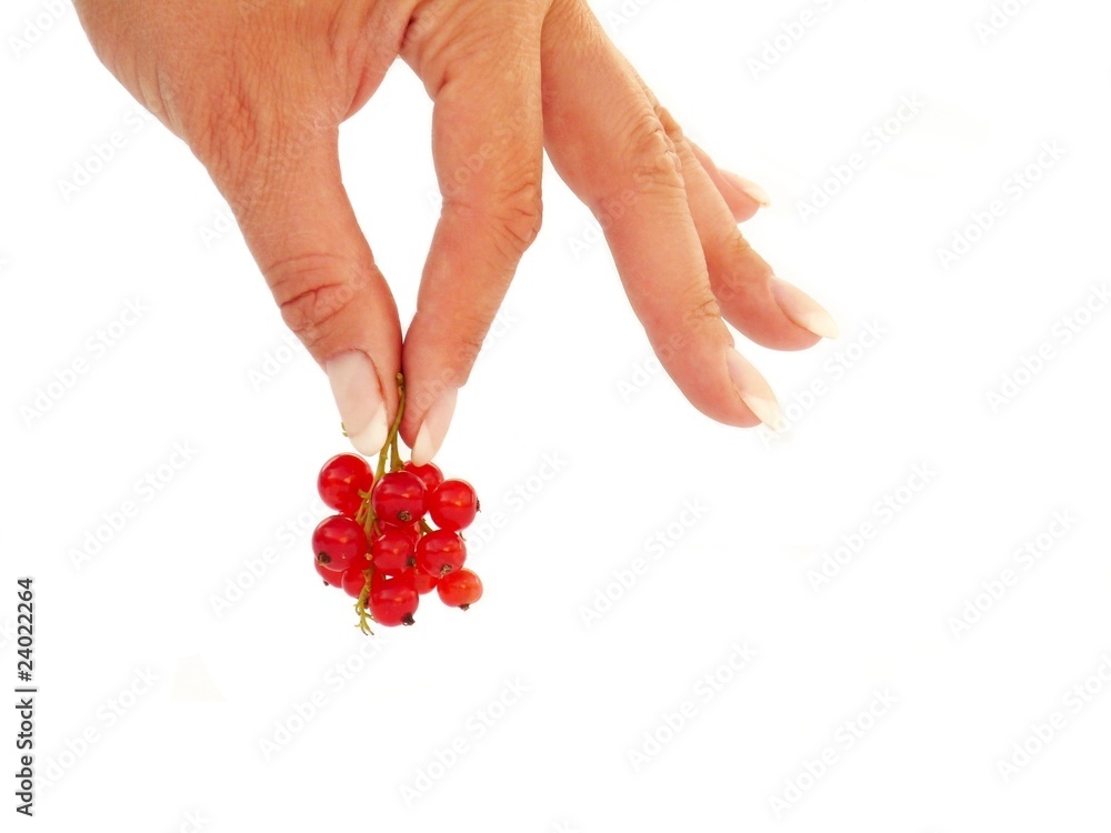 Red currants in a female hand. Red currants in a female hand.