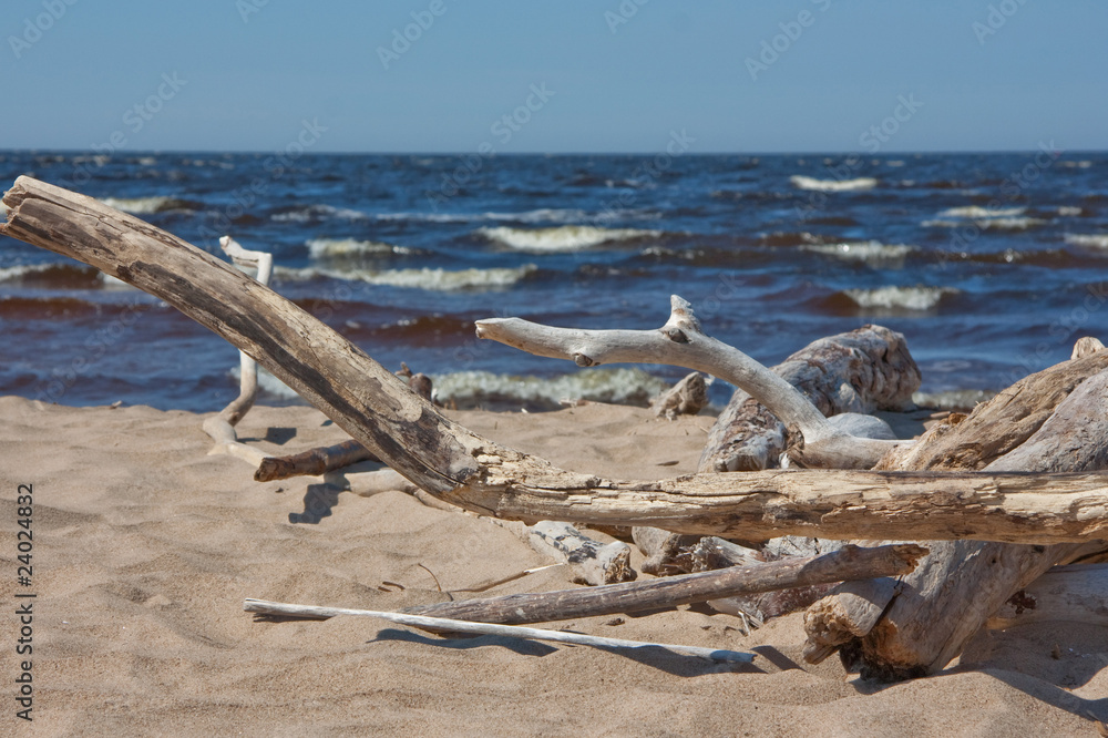 Beach of the Baltic sea Beach of the Baltic sea