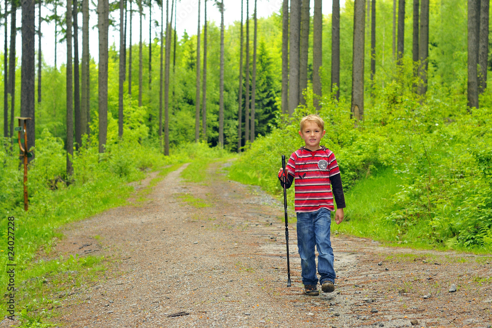 Obraz premium Beim wandern