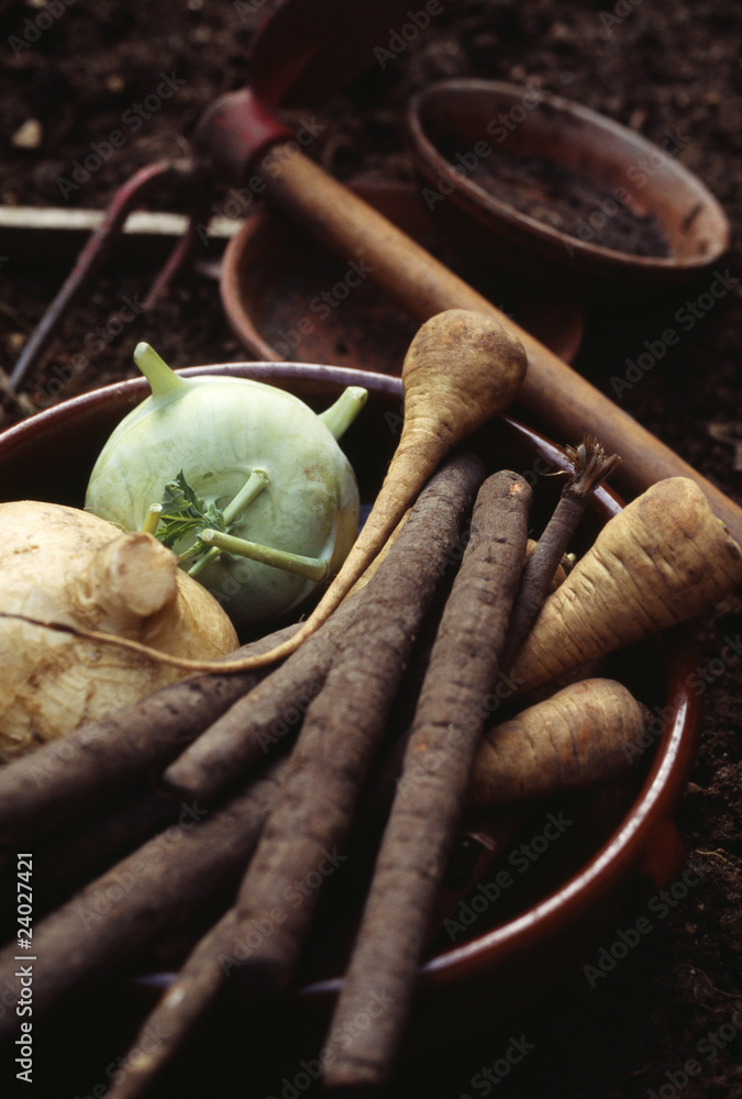 légumes anciens Stock Photo | Adobe Stock