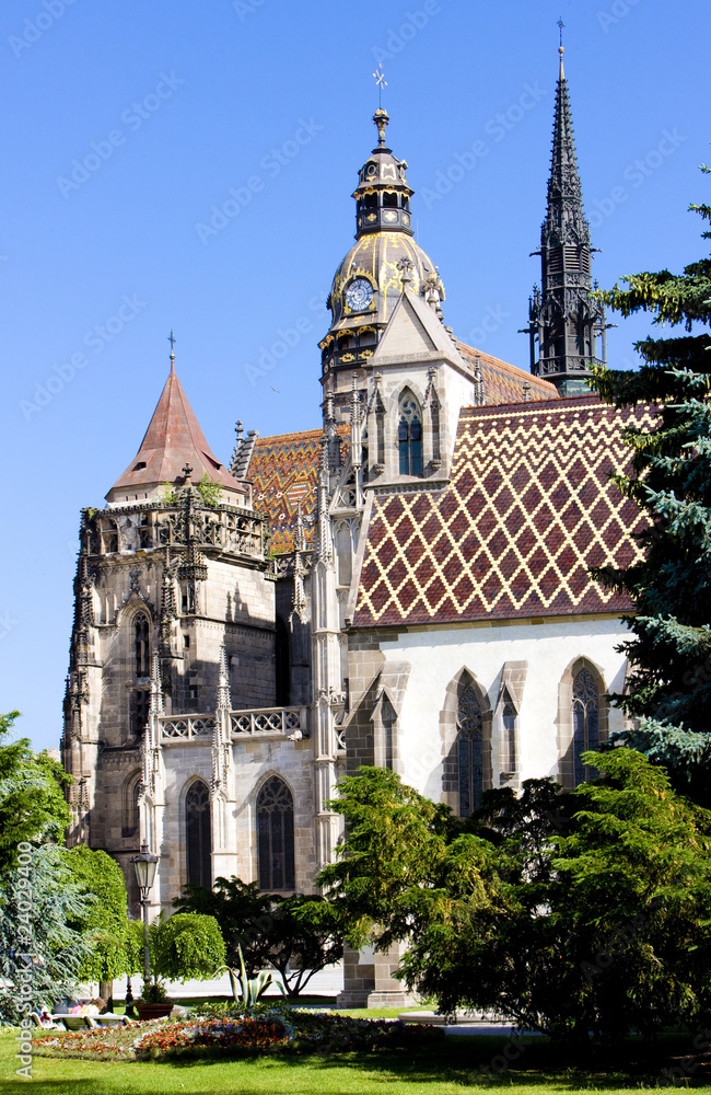 Cathedral of Saint Elizabeth, Kosice, Slovakia