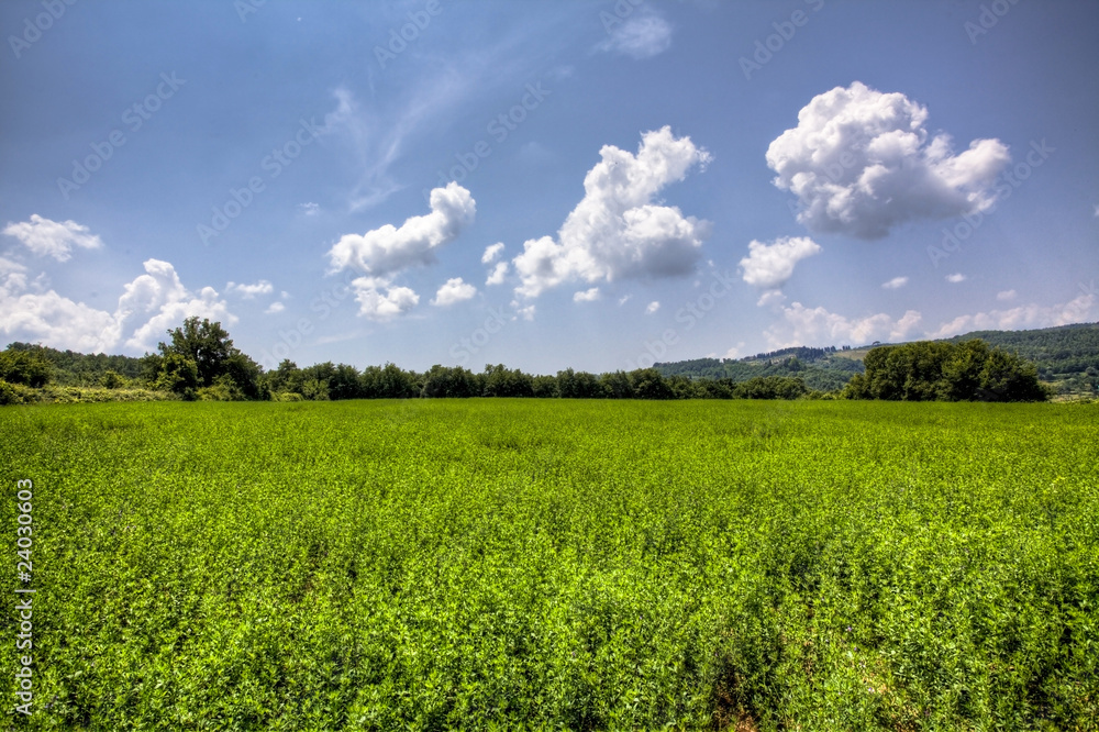Fototapeta premium tuscany landscape
