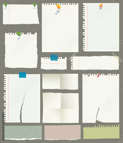 Ripped Papers Collection