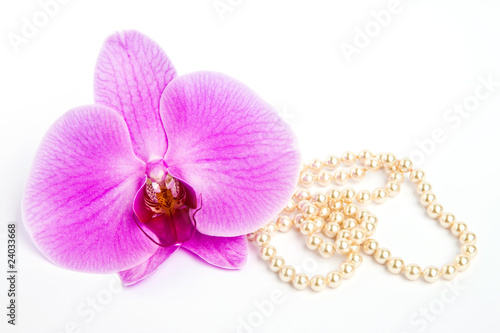 Orchid with a pearl necklace.