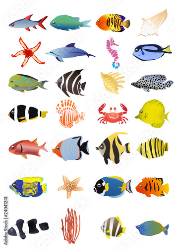 Collection of marine animals, vector illustration