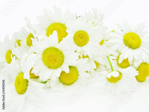 bouquet of field daisy flowers photo