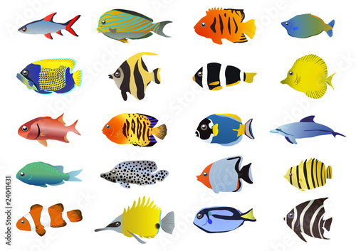 Set of tropical fishes, vector illustration