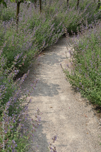 weg