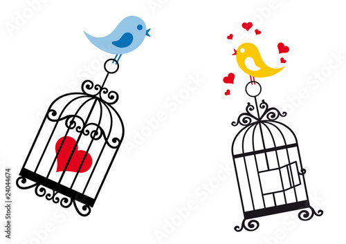 birds in love with birdcage