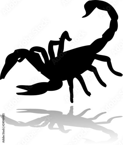 black scorpion