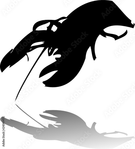 lobster
